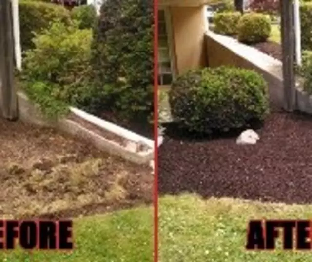 All American Property Maintenance