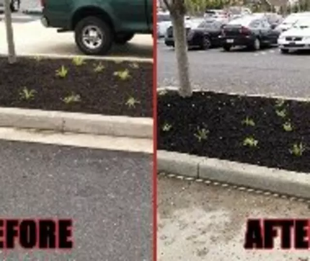 All American Property Maintenance