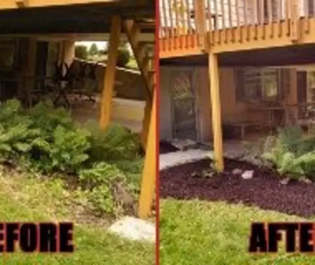 All American Property Maintenance