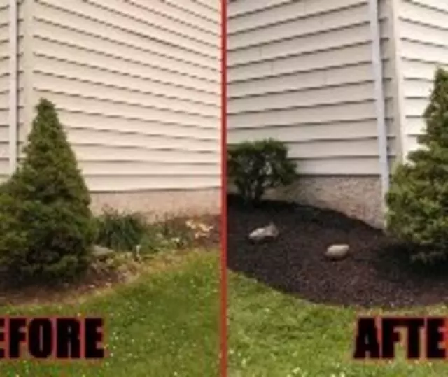 All American Property Maintenance
