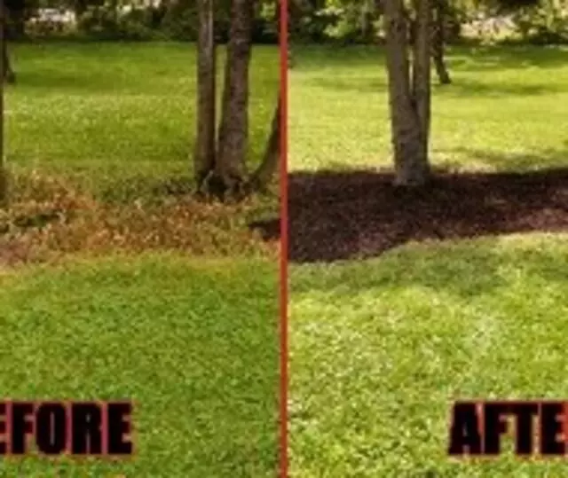 All American Property Maintenance