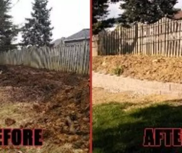 All American Property Maintenance