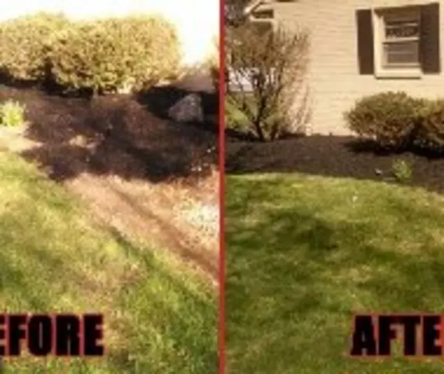 All American Property Maintenance