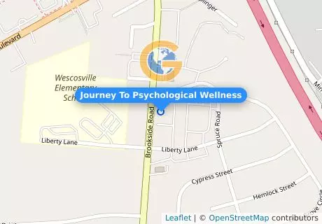 Journey To Psychological Wellness