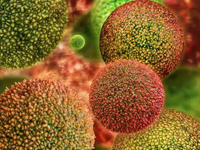 Allentown Asthma & Allergy