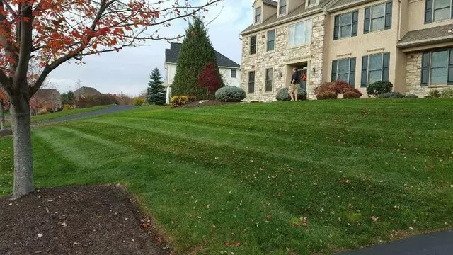 Always Greener Landscaping