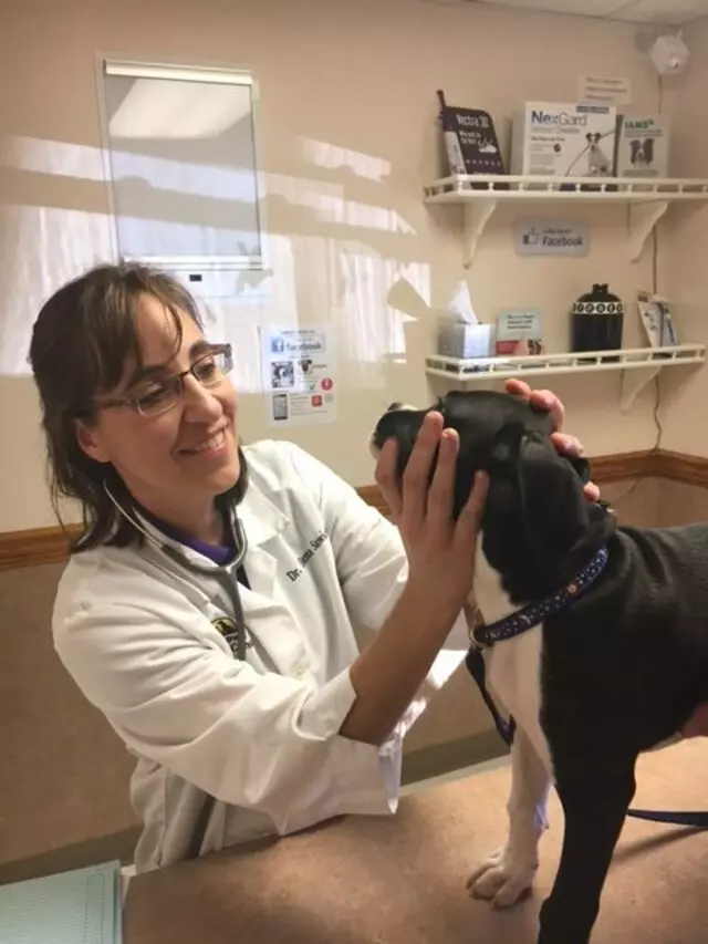 Allentown Animal Clinic