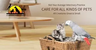 Allentown Animal Clinic