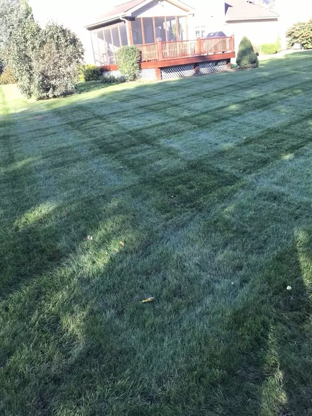 Ariel Romero Landscaping Services