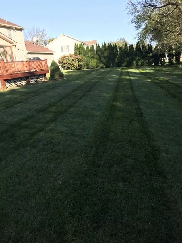 Ariel Romero Landscaping Services
