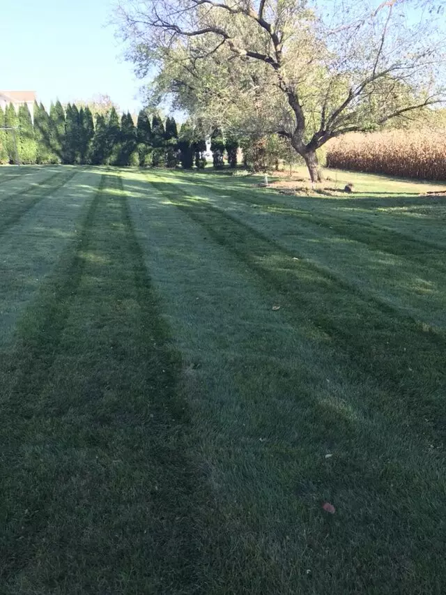 Ariel Romero Landscaping Services