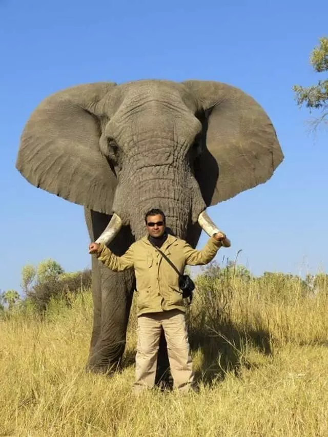 AfricanMecca Safaris