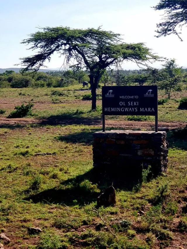 AfricanMecca Safaris