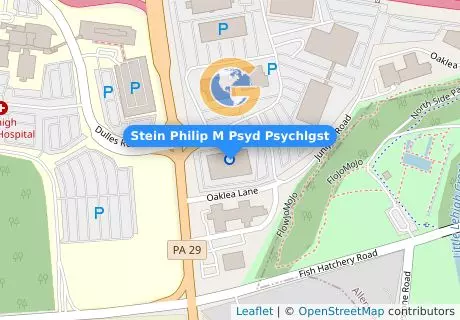 Stein Philip M Psyd Psychlgst