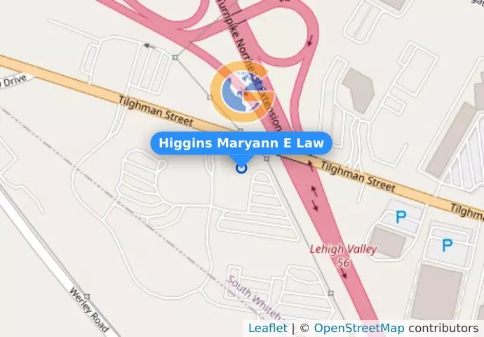 Higgins Maryann E Law