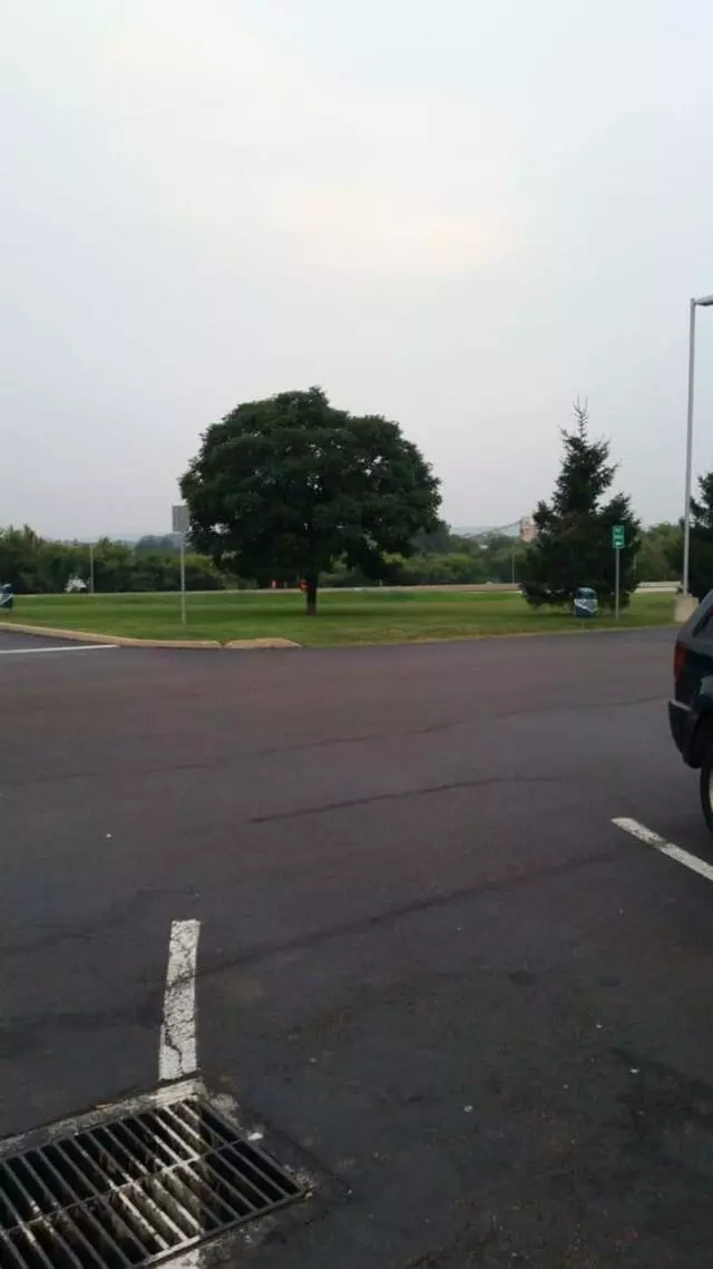 Allentown Service Plaza