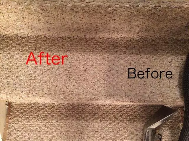 ASAP Rug,Carpet Cleaners