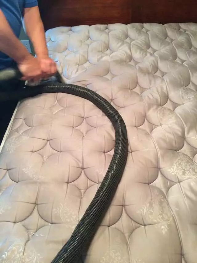 ASAP Rug,Carpet Cleaners