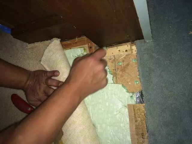 ASAP Rug,Carpet Cleaners