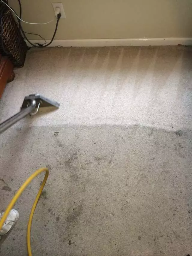 ASAP Rug,Carpet Cleaners