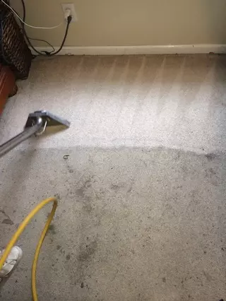 ASAP Rug,Carpet Cleaners