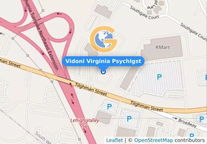 Vidoni Virginia Psychlgst
