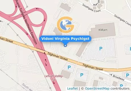 Vidoni Virginia Psychlgst