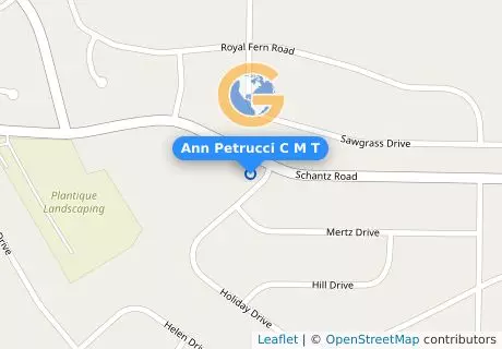 Ann Petrucci C M T