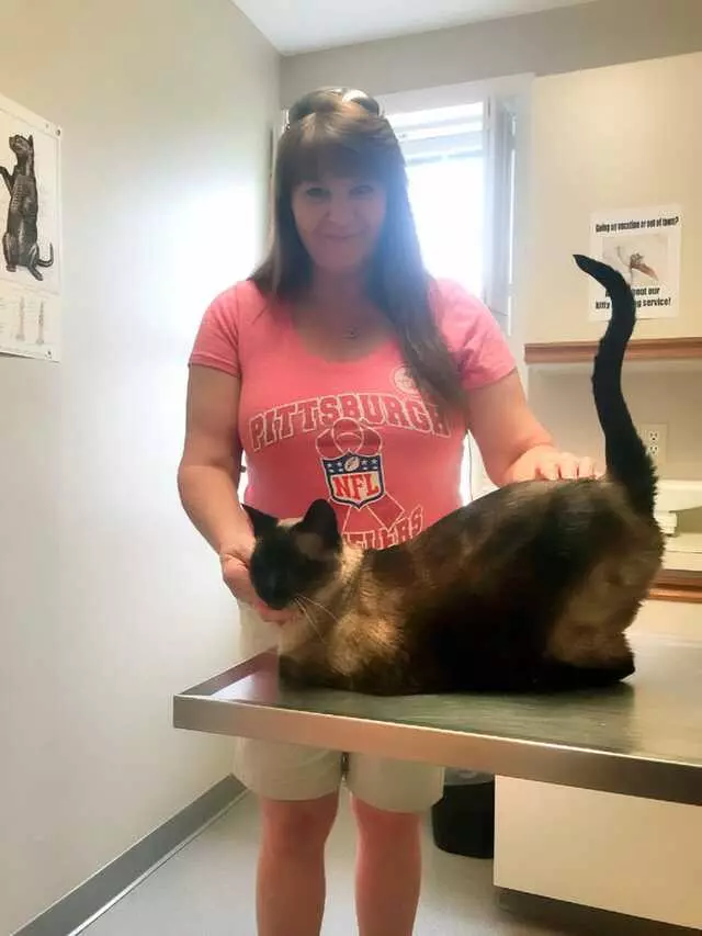 Allentown Cat Clinic, PC
