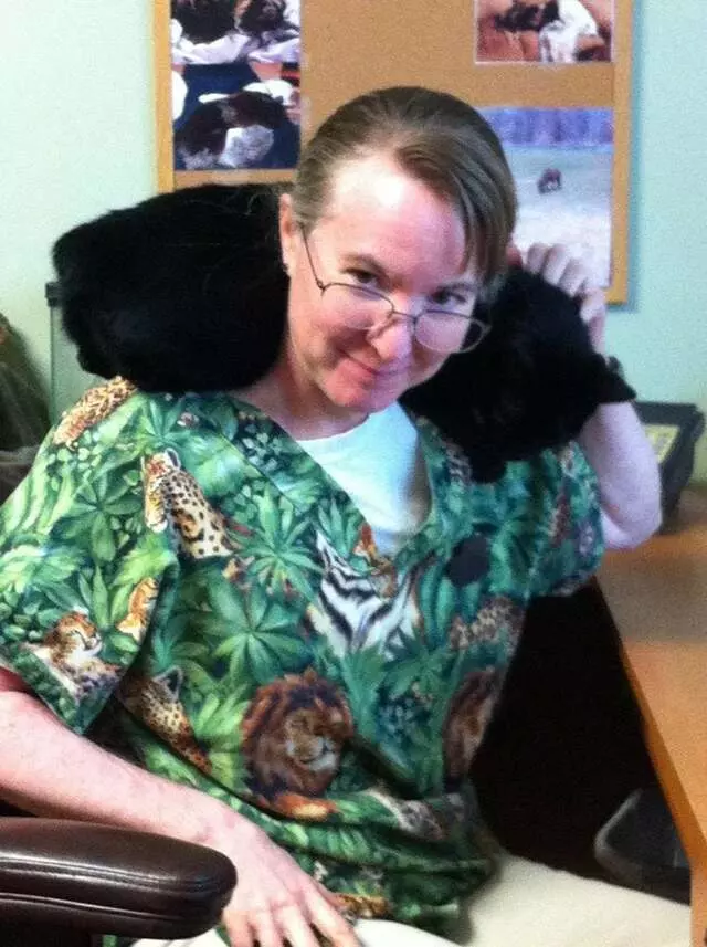 Allentown Cat Clinic, PC