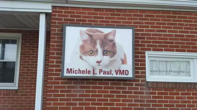 Allentown Cat Clinic, PC